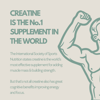 No1Creatine.com - Benefits of creatine